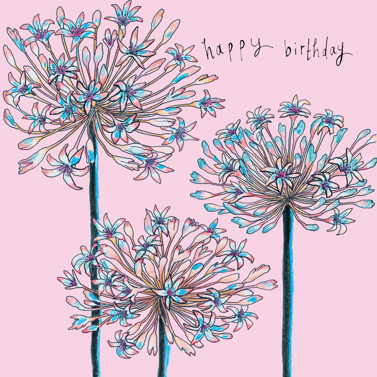 Agapanthus Floral Pink Hand Drawn Art Birthday Greeting Card