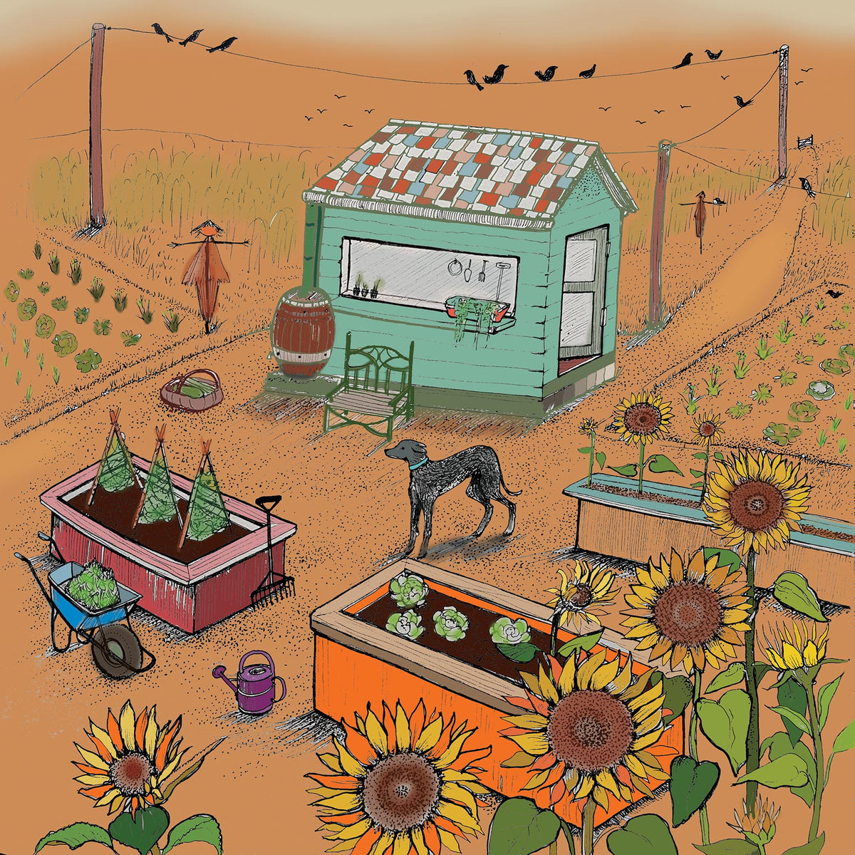 Allotment Garden Hand Drawn Art Blank Greeting Card