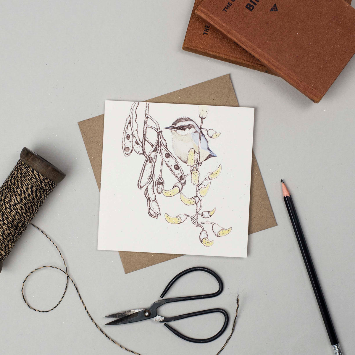 Nuthatch Bird Hand Drawn Art Blank Greeting Card