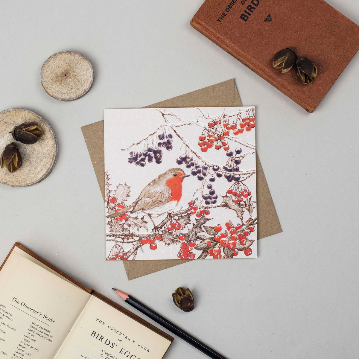Red Robin Hand Drawn Art Blank Bird Christmas Greeting Card
