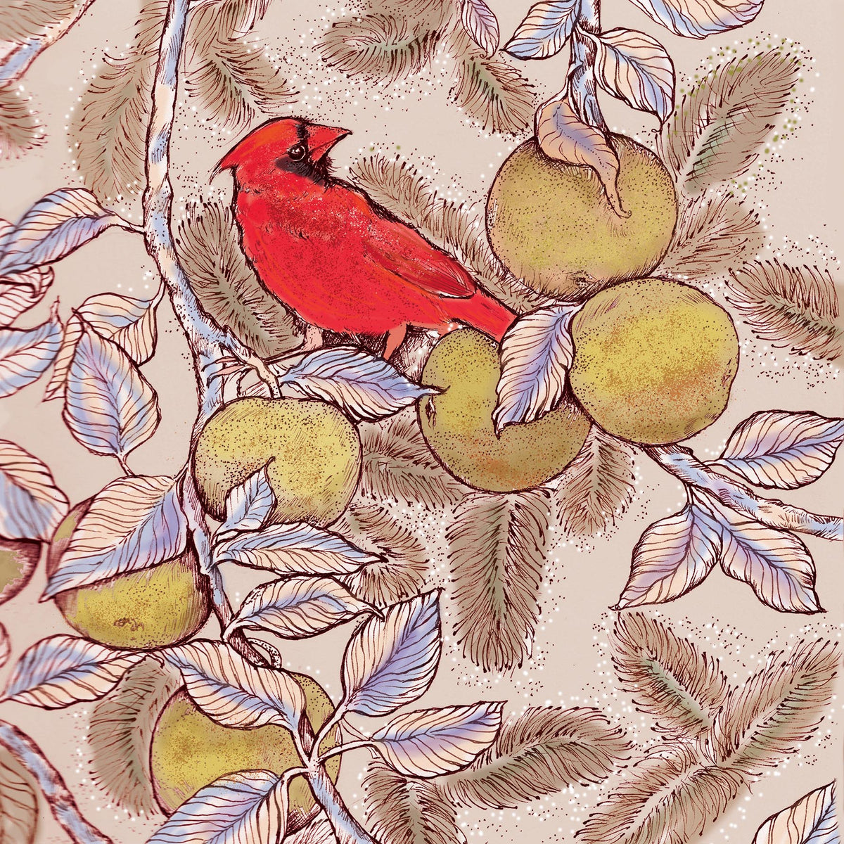 Cardinal and Apples Hand Drawn Art Blank Bird Greeting Card