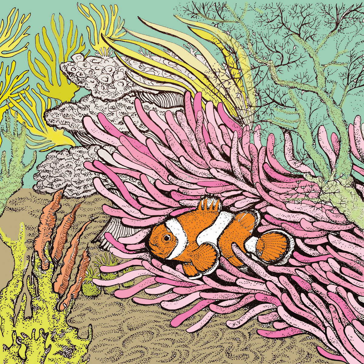 Clown Fish Coral Hand Drawn Art Blank Sea Greeting Card