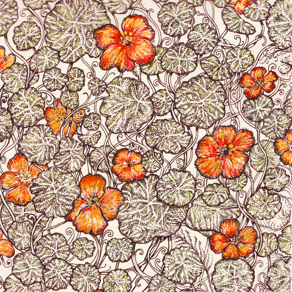 Nasturtium Salad Hand Drawn Floral Blank Art Greeting Card