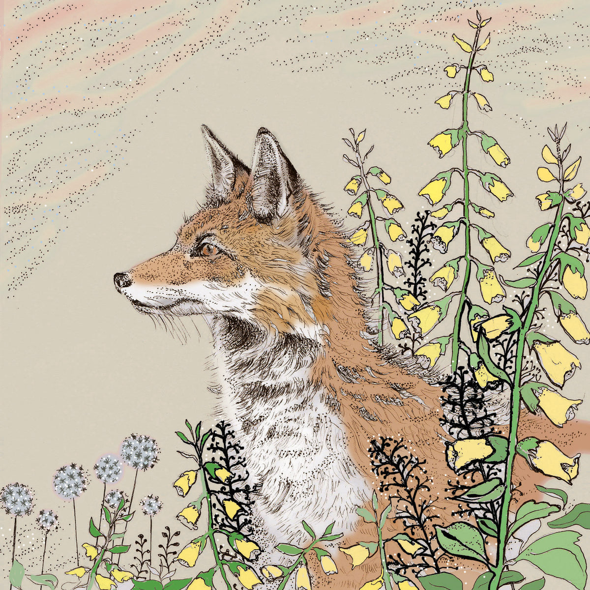 Foxgloves Hand Drawn Art Blank Wildlife Greeting Card