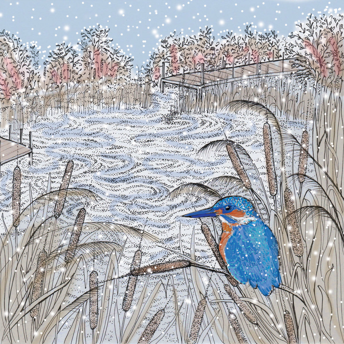 Kingfisher Reeds Winter Hand Drawn Art Blank Greeting Card