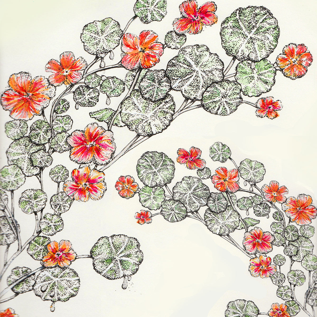 Nasturtiums Rain Hand Drawn Floral Blank Art Greeting Card