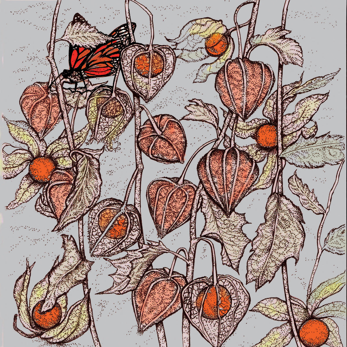 Physalis Butterfly Hand Drawn Art Blank Floral Greeting Card