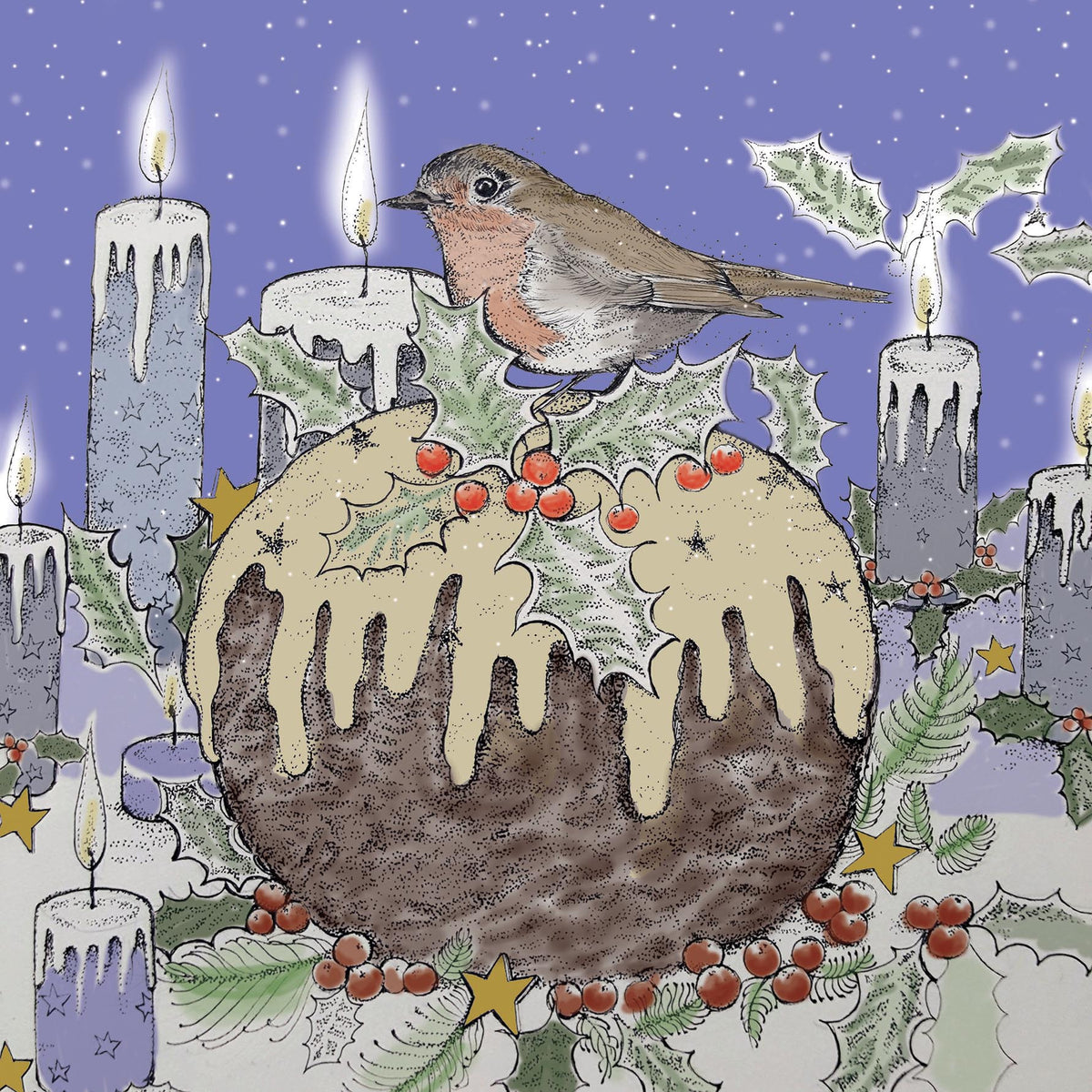 Robin Pudding Hand Drawn Blank Art Christmas Greeting Card