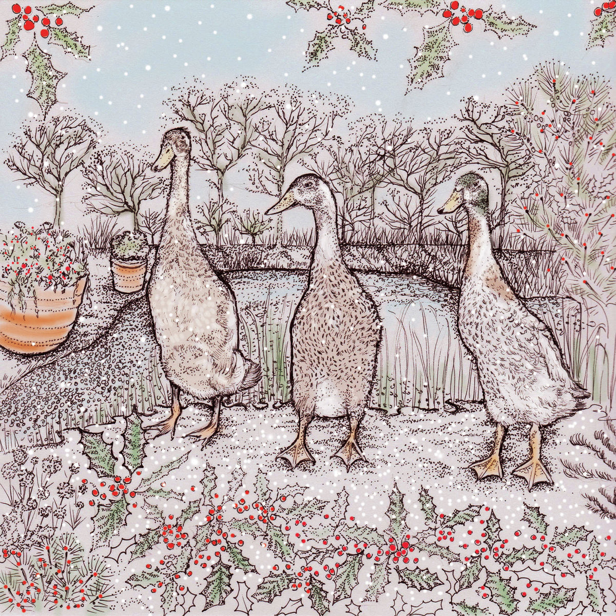 Runner Ducks Hand Drawn Birds Blank Christmas Greeting Card