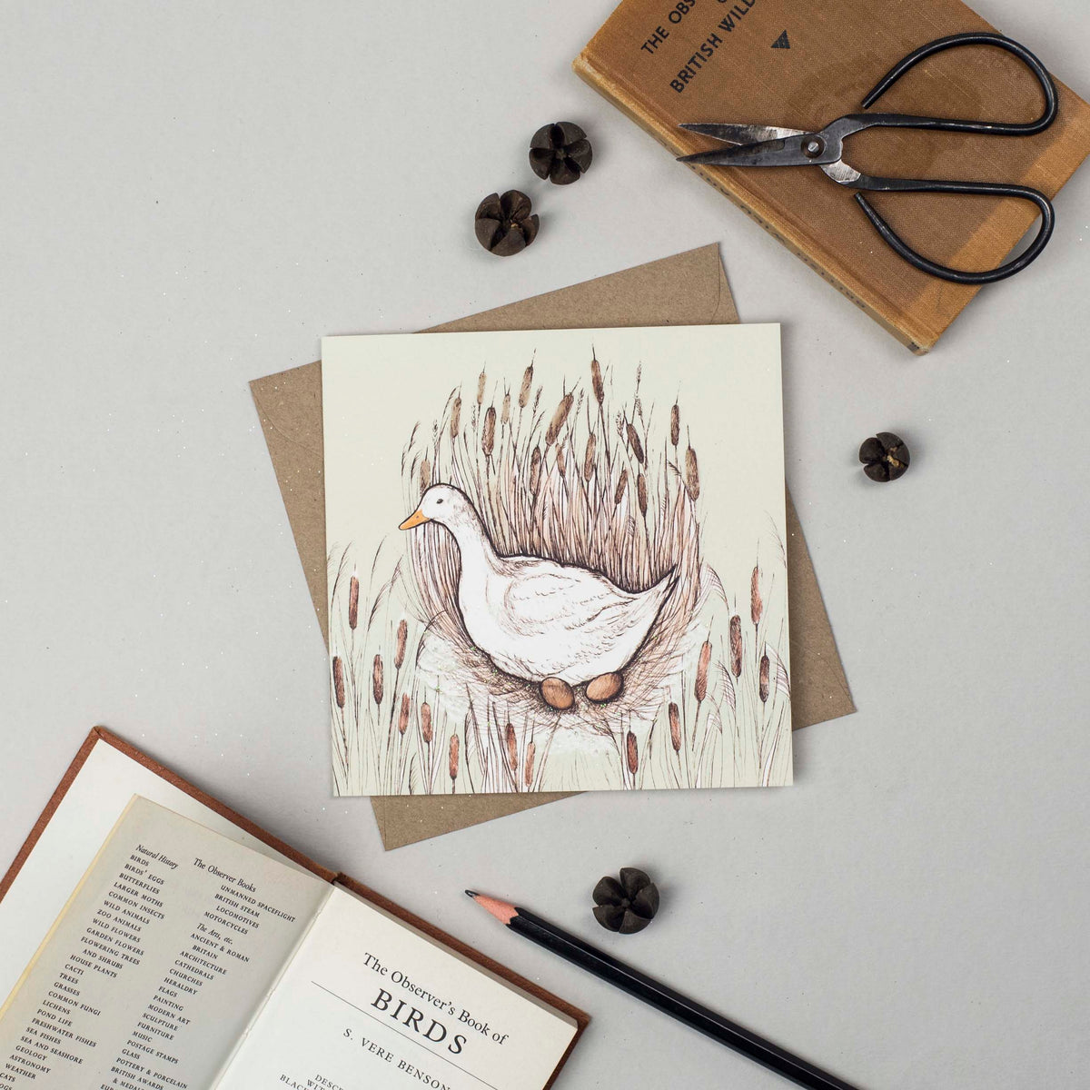 Nesting Duck Hand Drawn Art Blank Bird Farm Greeting Card
