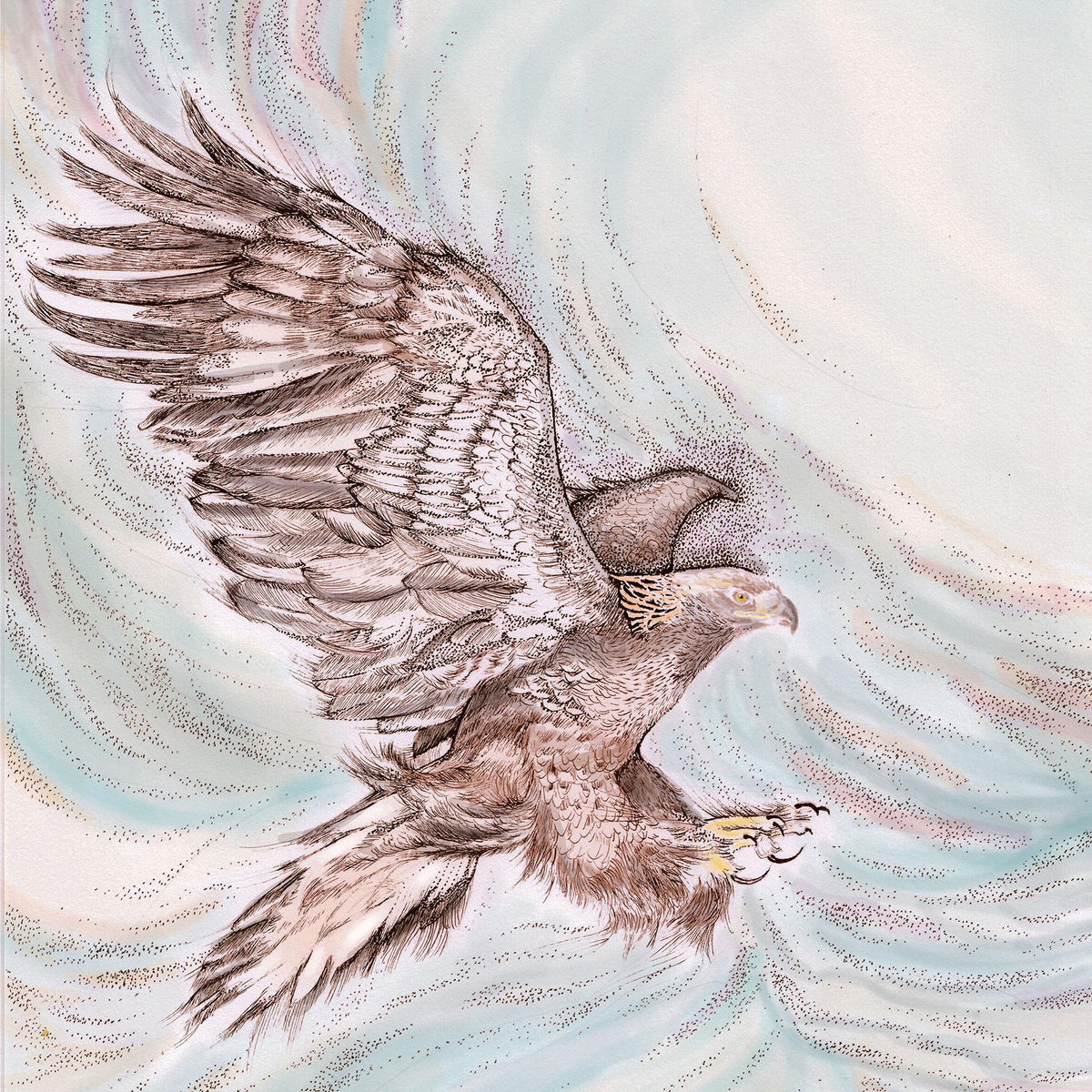 Golden Eagle Hand Drawn Blank Wildlife Bird Greeting Card
