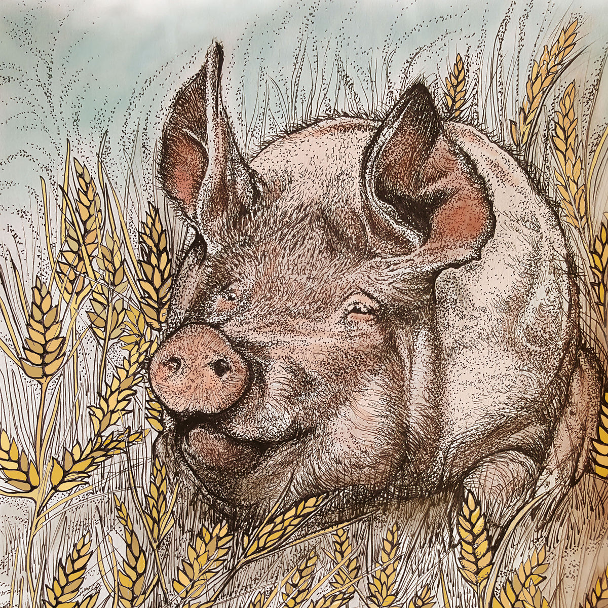 Pig Wheat Hand Drawn Farm Animal Blank Greeting Card