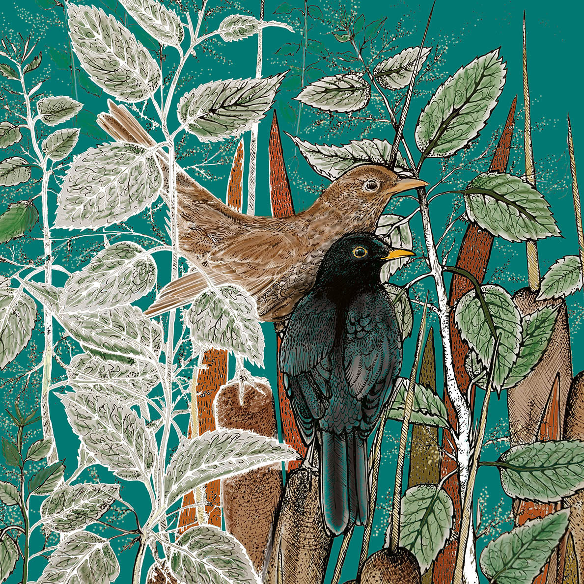 Blackbirds Nettles Hand Drawn Art Blank Greeting Card