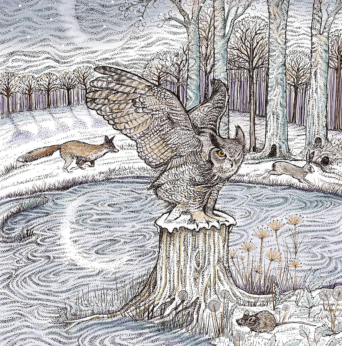 Hunting Owl Hand Drawn Moon Art Blank Winter Greeting Card