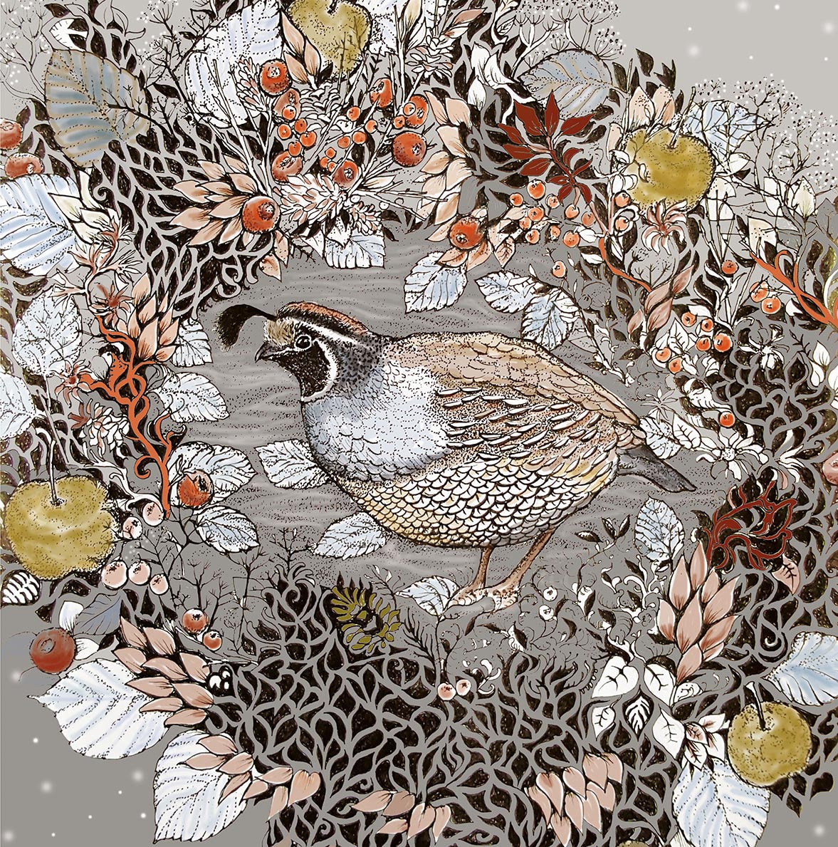 Quail Hand Drawn Blank Art Bird Christmas Greeting Card