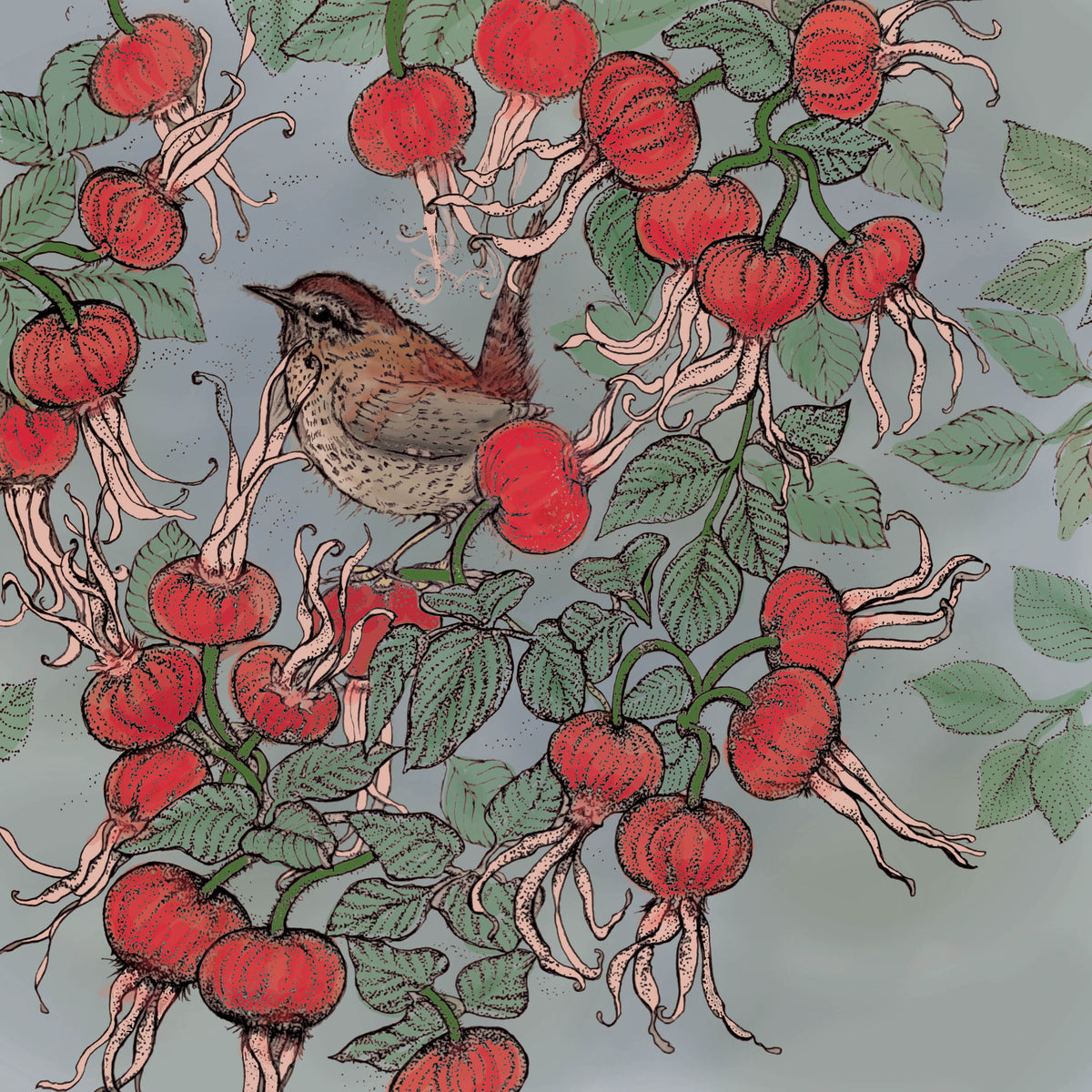 Wren Beech Rose Hand Drawn Bird Blank Greeting Card