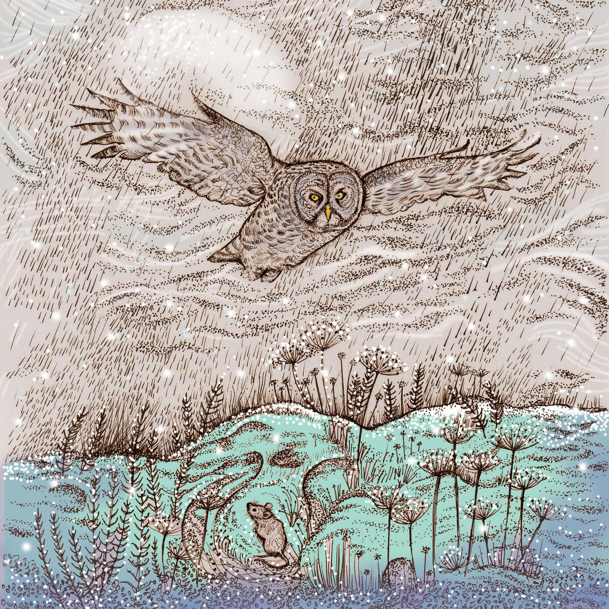 Great Grey Owl Hand Drawn Art Blank Winter Greeting Card