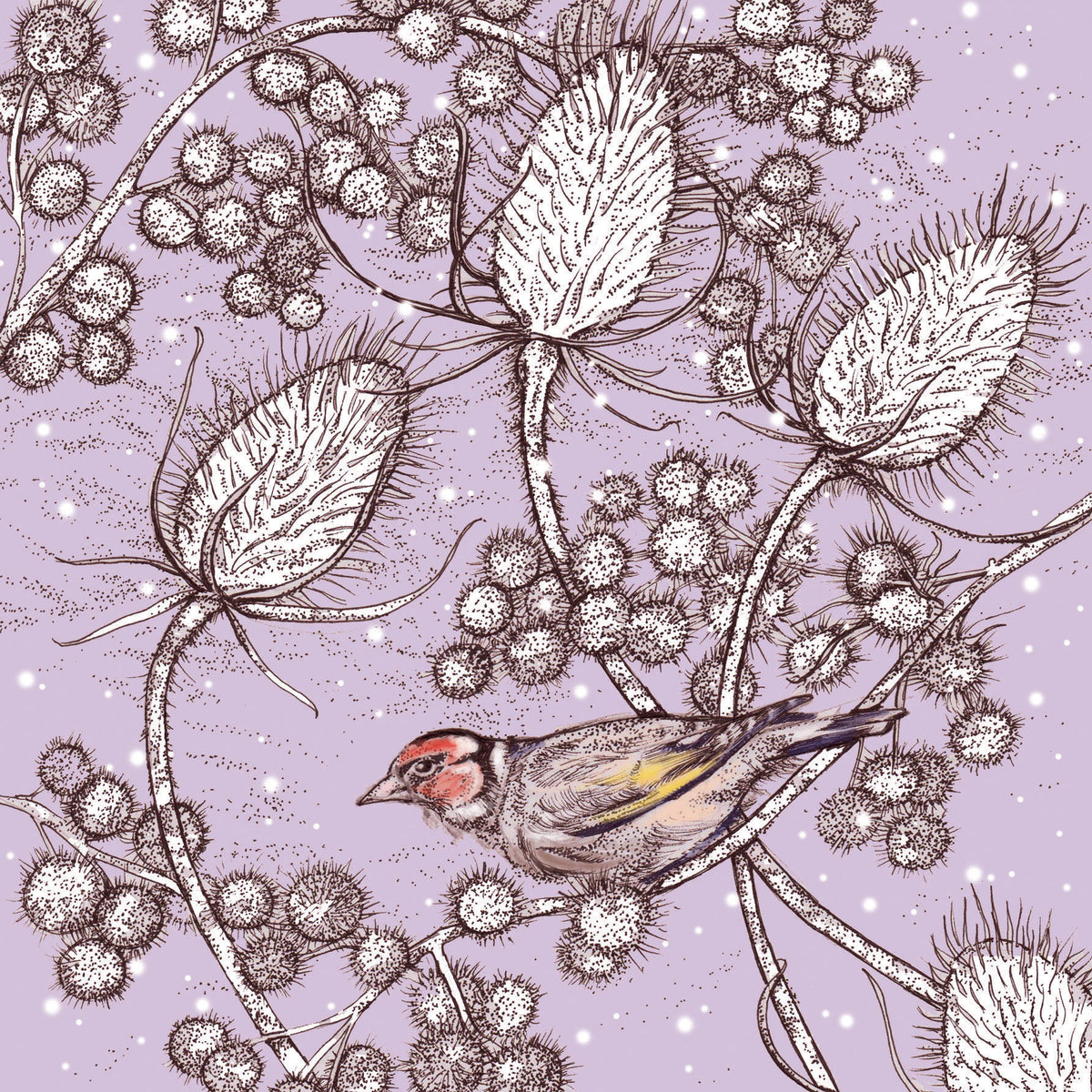 Finch Teasels Hand Drawn Art Blank Christmas Greeting Card