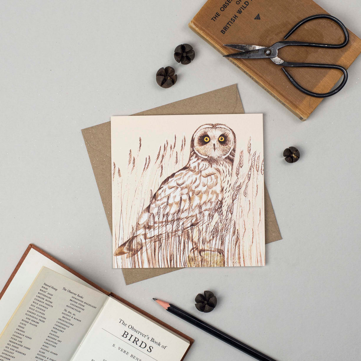 Short Eared Owl Hand Drawn Bird Blank Greeting Card