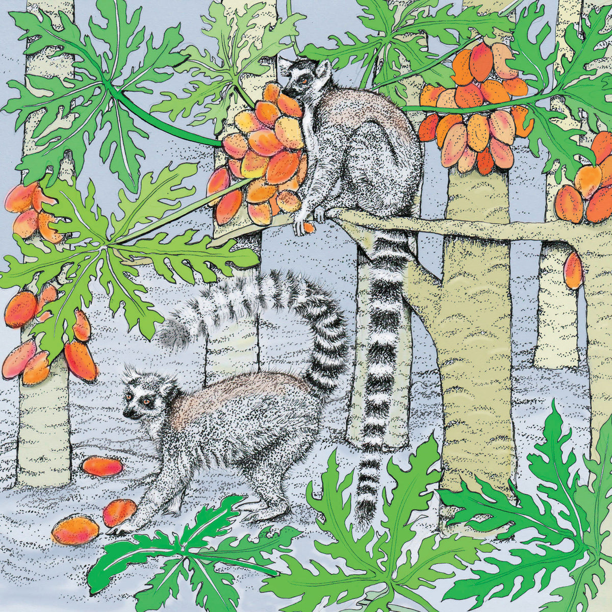 Ring Tailed Lemurs Hand Drawn Art Zoo Safari Greeting Card