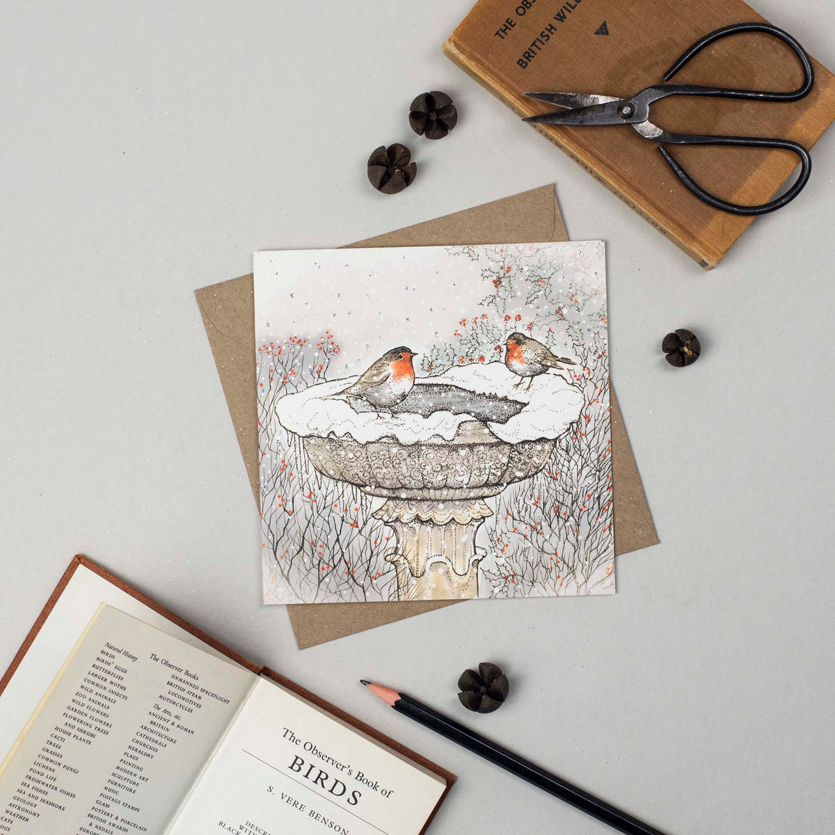 Bird Bath Robin Couple Hand Drawn Blank Christmas Card