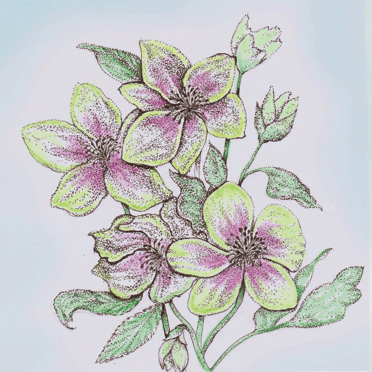 Hellebores Hand Drawn Art Blank Floral Greeting Card