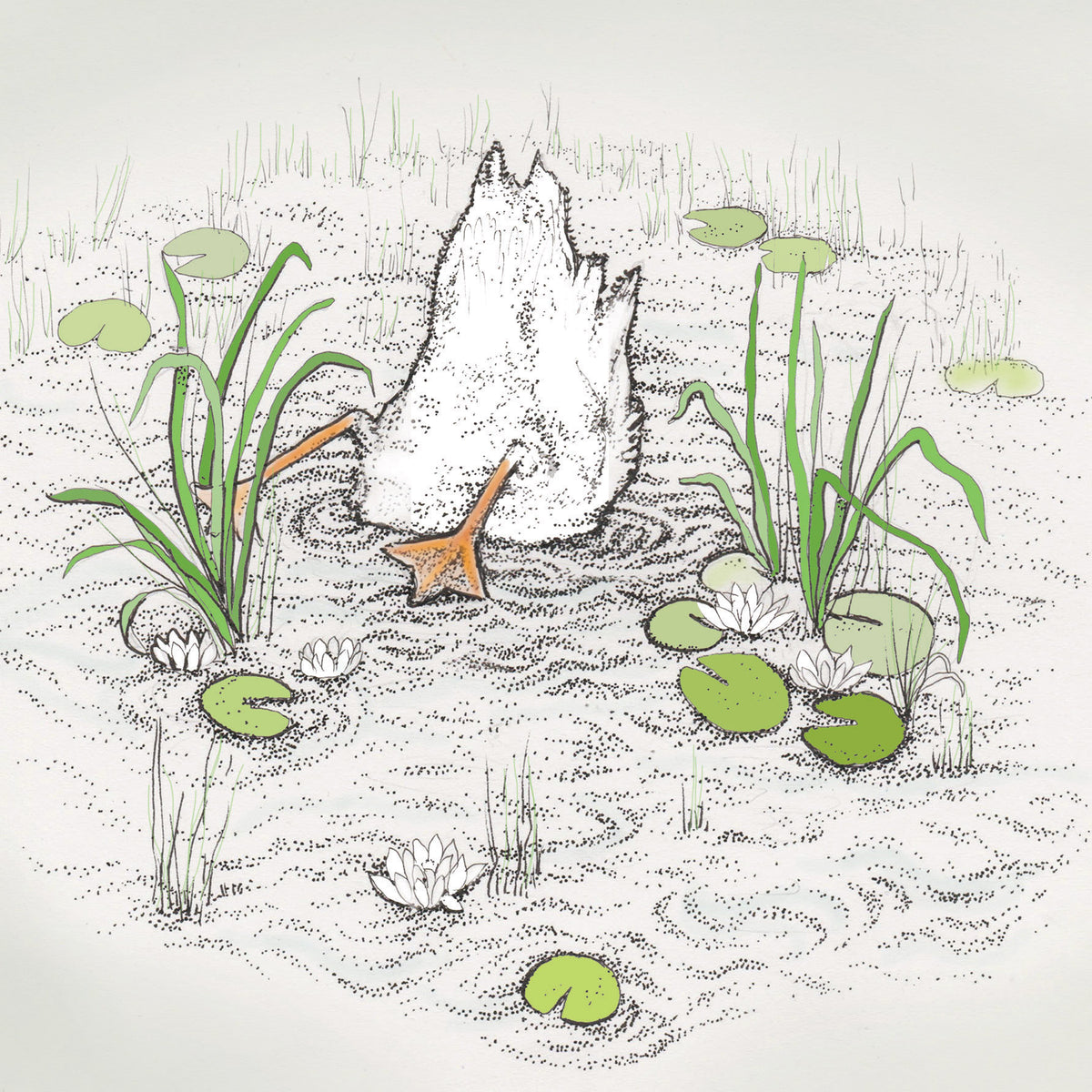 Tails Up Duck Pond Hand Drawn Bird Art Blank Greeting Card