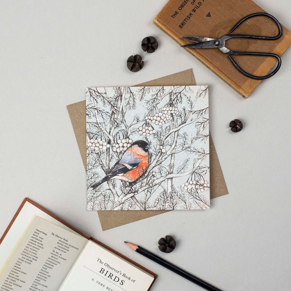 Bullfinch Hand Drawn Bird Art Blank Christmas Greeting Card