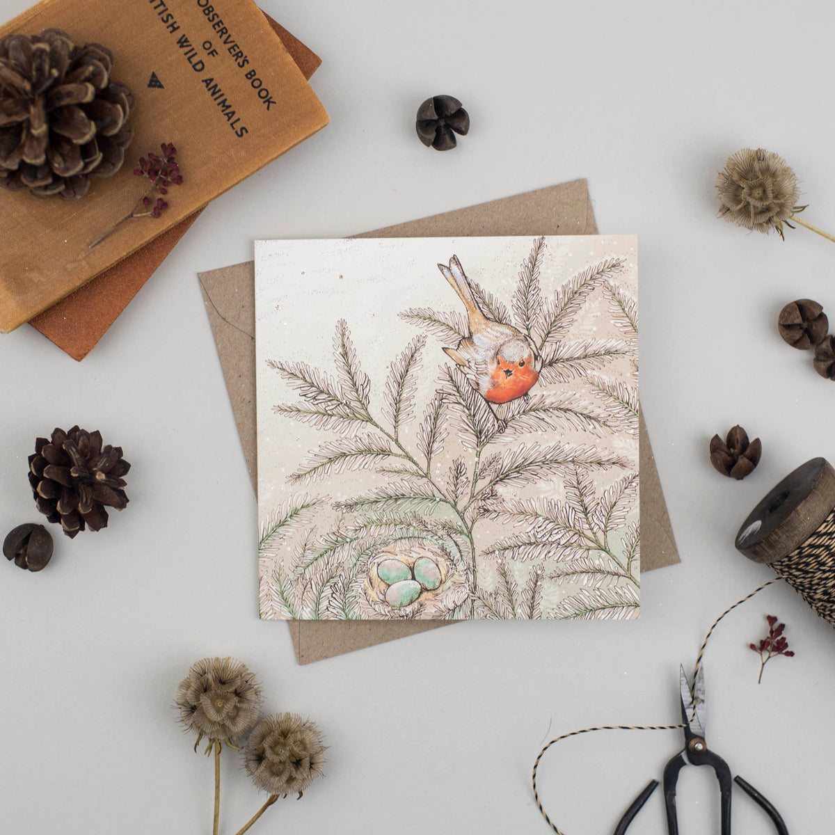 Robins Nest Hand Drawn Blank Art Christmas Greeting Card