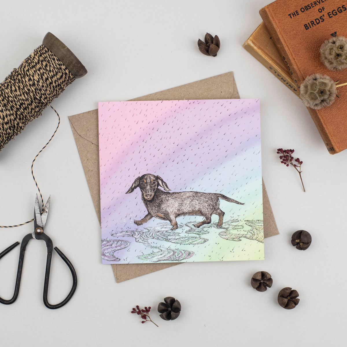 Dachshund Dog Hand Drawn Art Rainbow Blank Greeting Card