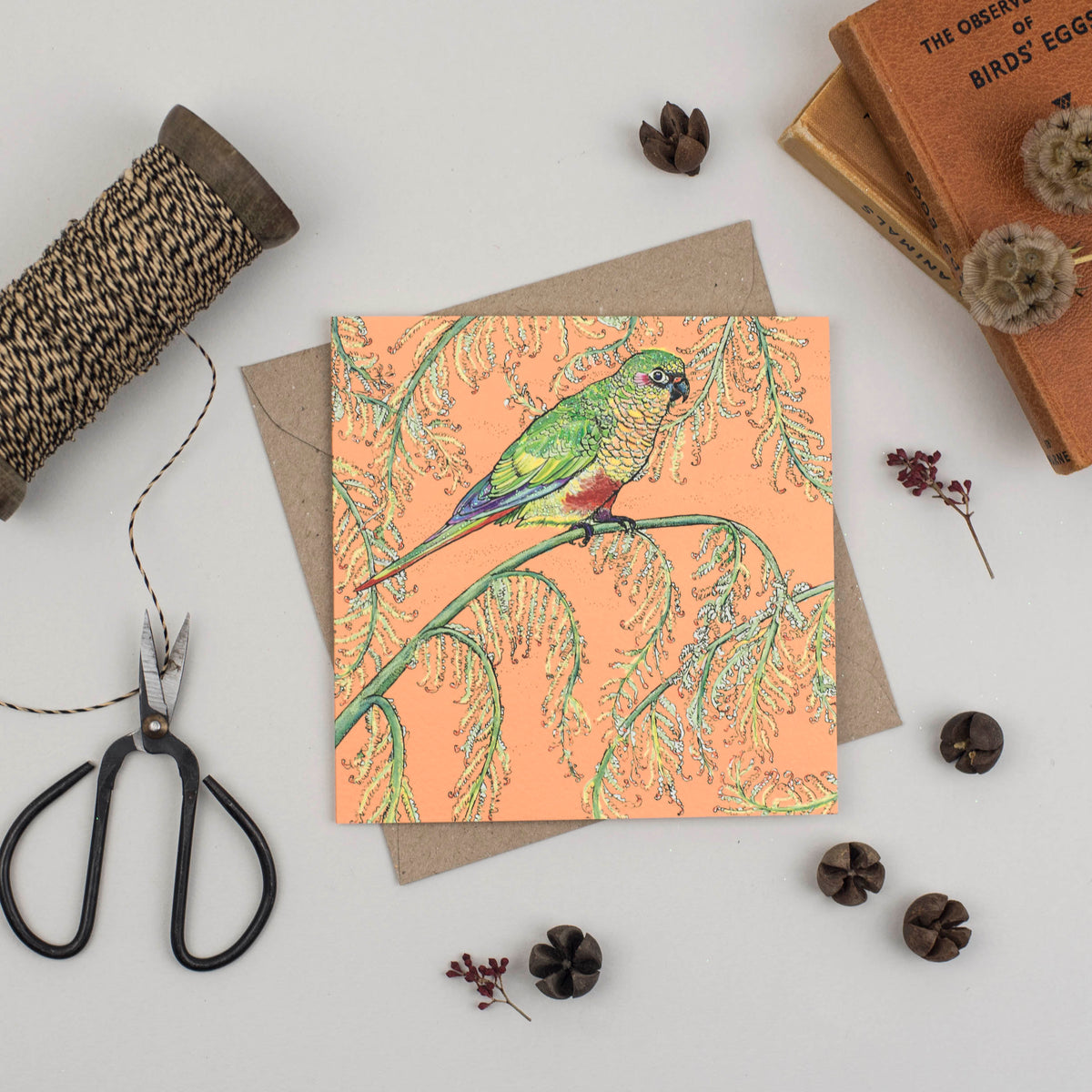 Parakeet Hand Drawn Art Blank Bird Jungle Greeting Card