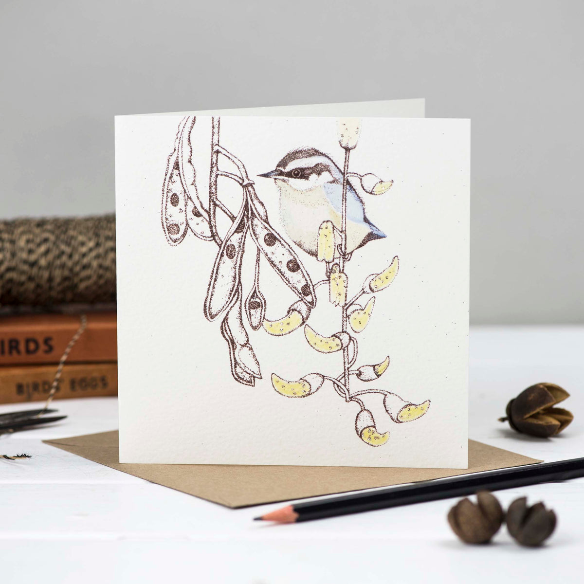 Nuthatch Bird Hand Drawn Art Blank Greeting Card