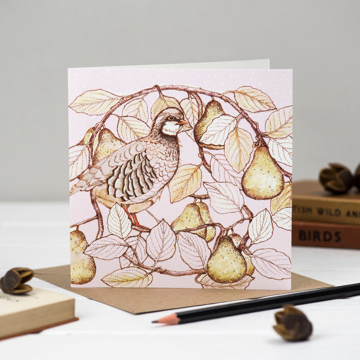 Hand Finished Robins And Partridges Hand Drawn Mixed Pack Of 10 Blank Christmas Cards