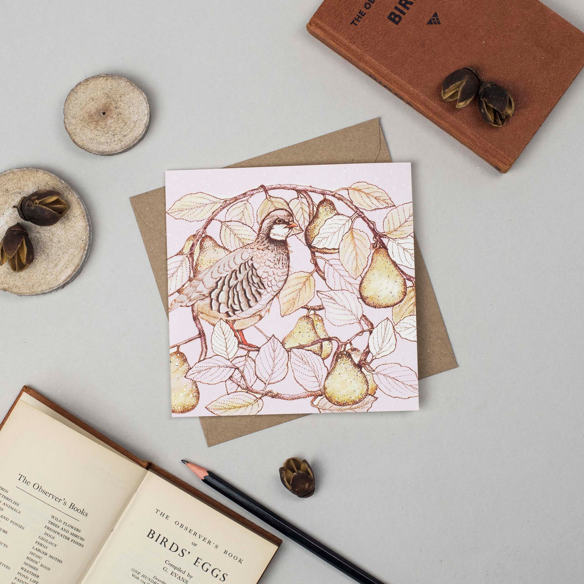 Red Legged Partridge Hand Drawn Christmas Blank Card