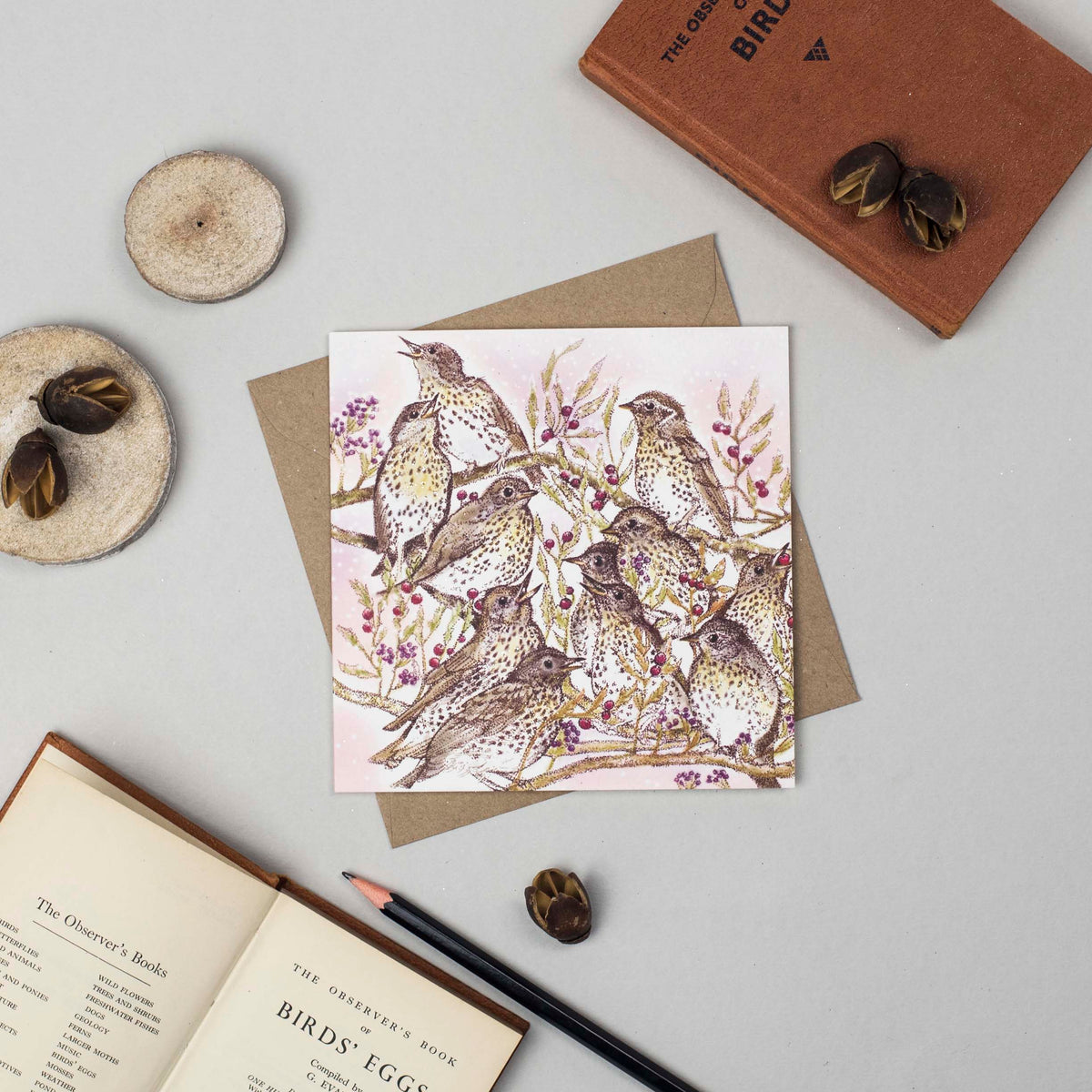 Song Thrushes Hand Drawn Birds Blank Christmas Greeting Card