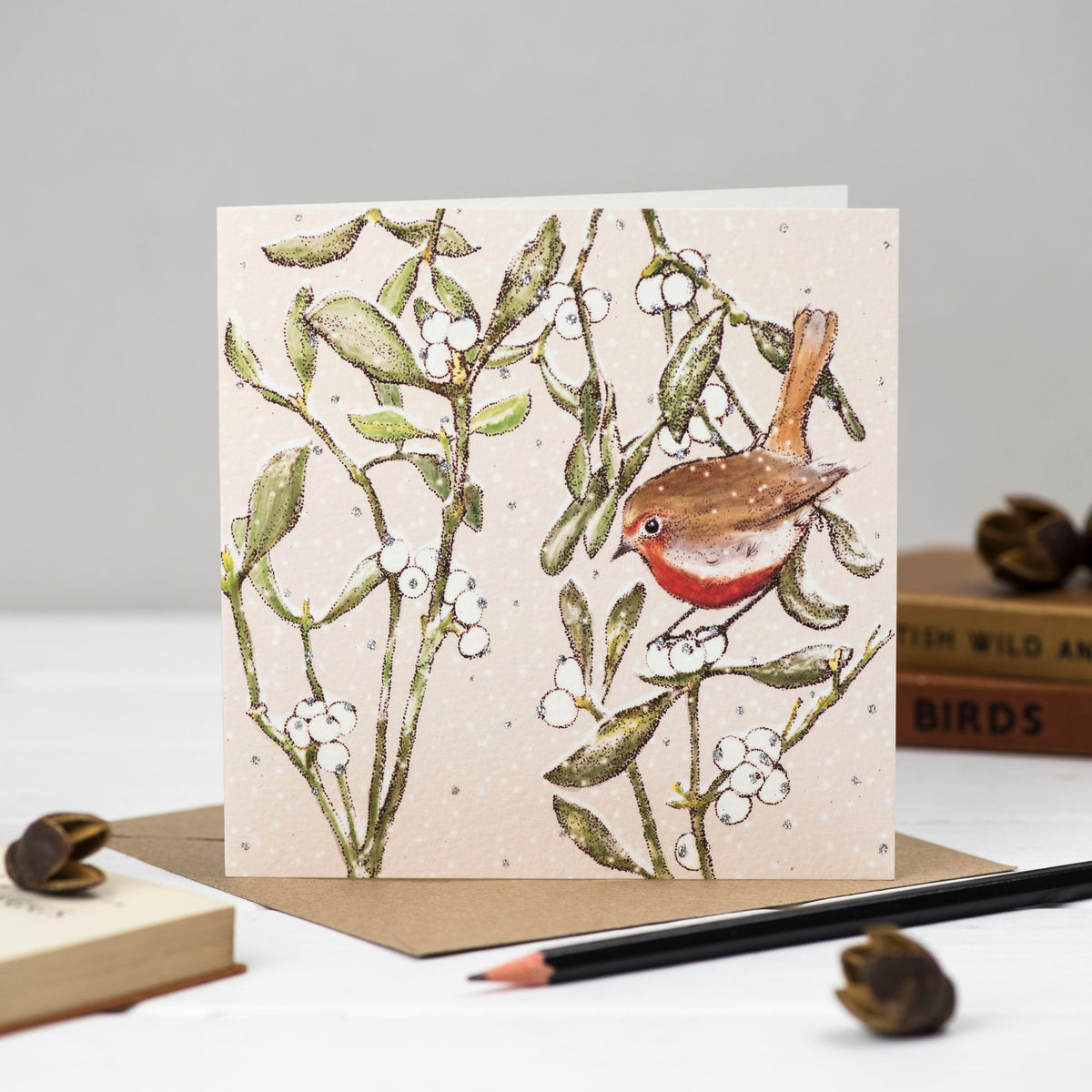 Robin Mistletoe Hand Drawn Blank Art Christmas Greeting Card