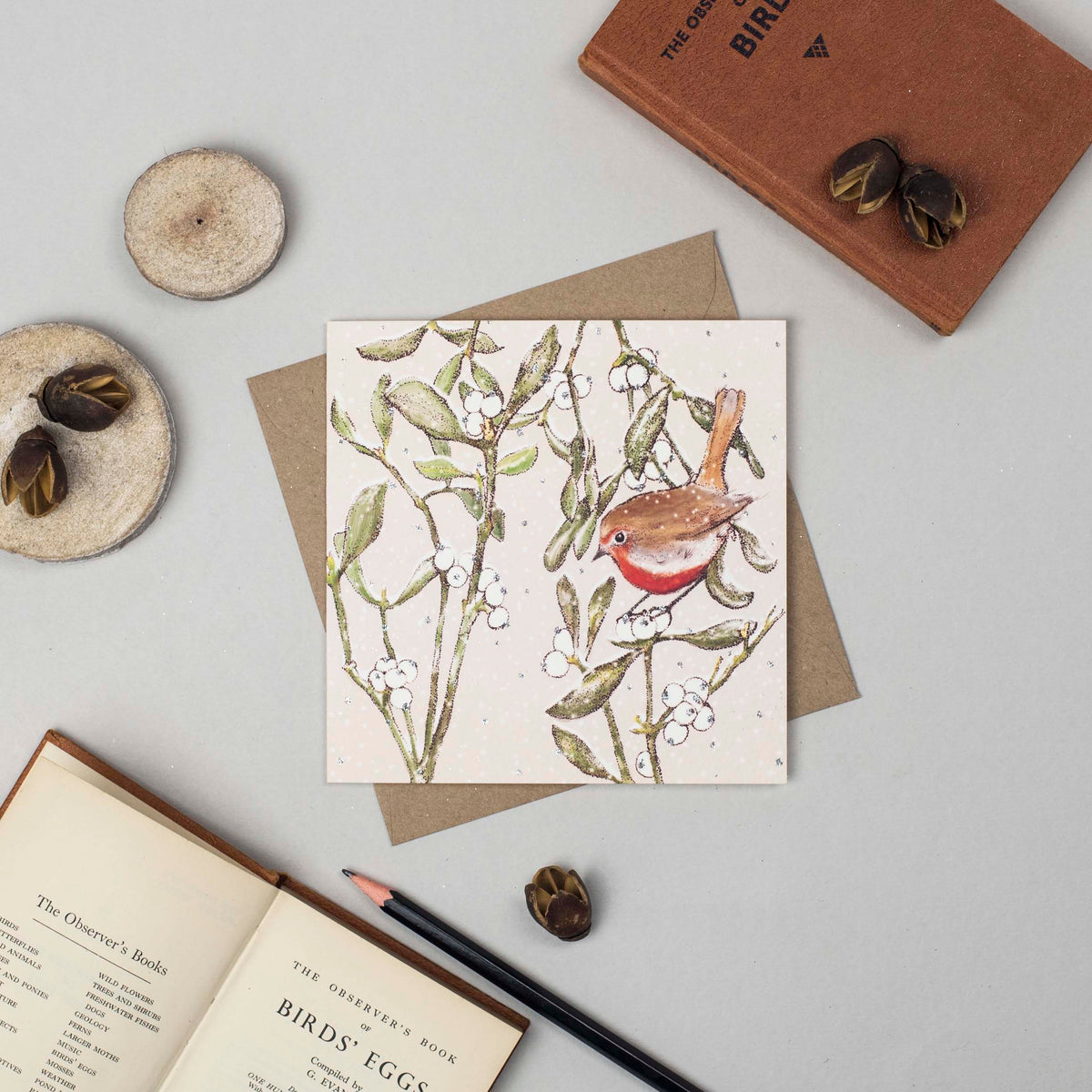 Robin Mistletoe Hand Drawn Blank Art Christmas Greeting Card