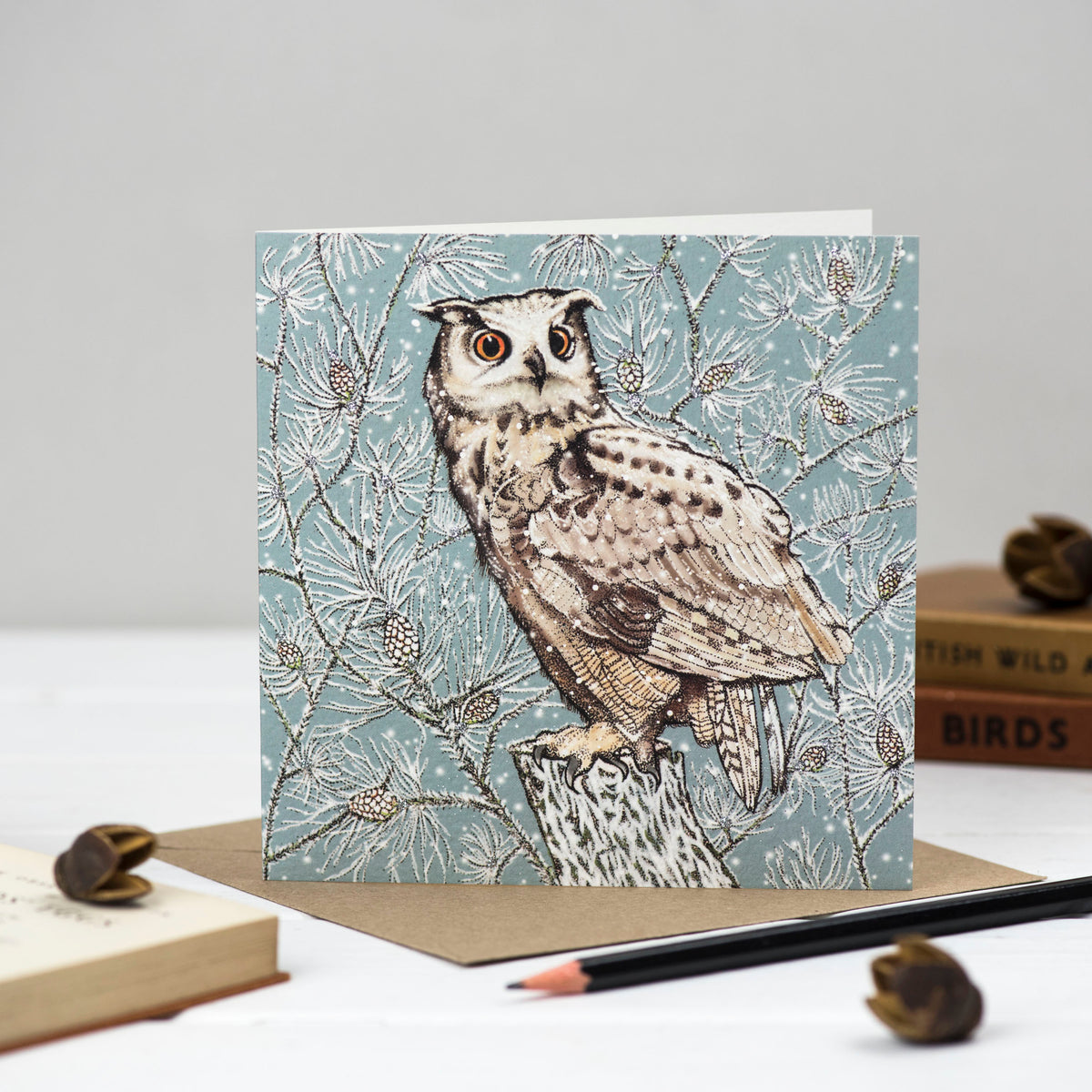 Hand Finished Owls And Pheasants Hand Drawn Mixed Pack Of 10 Blank Christmas Cards