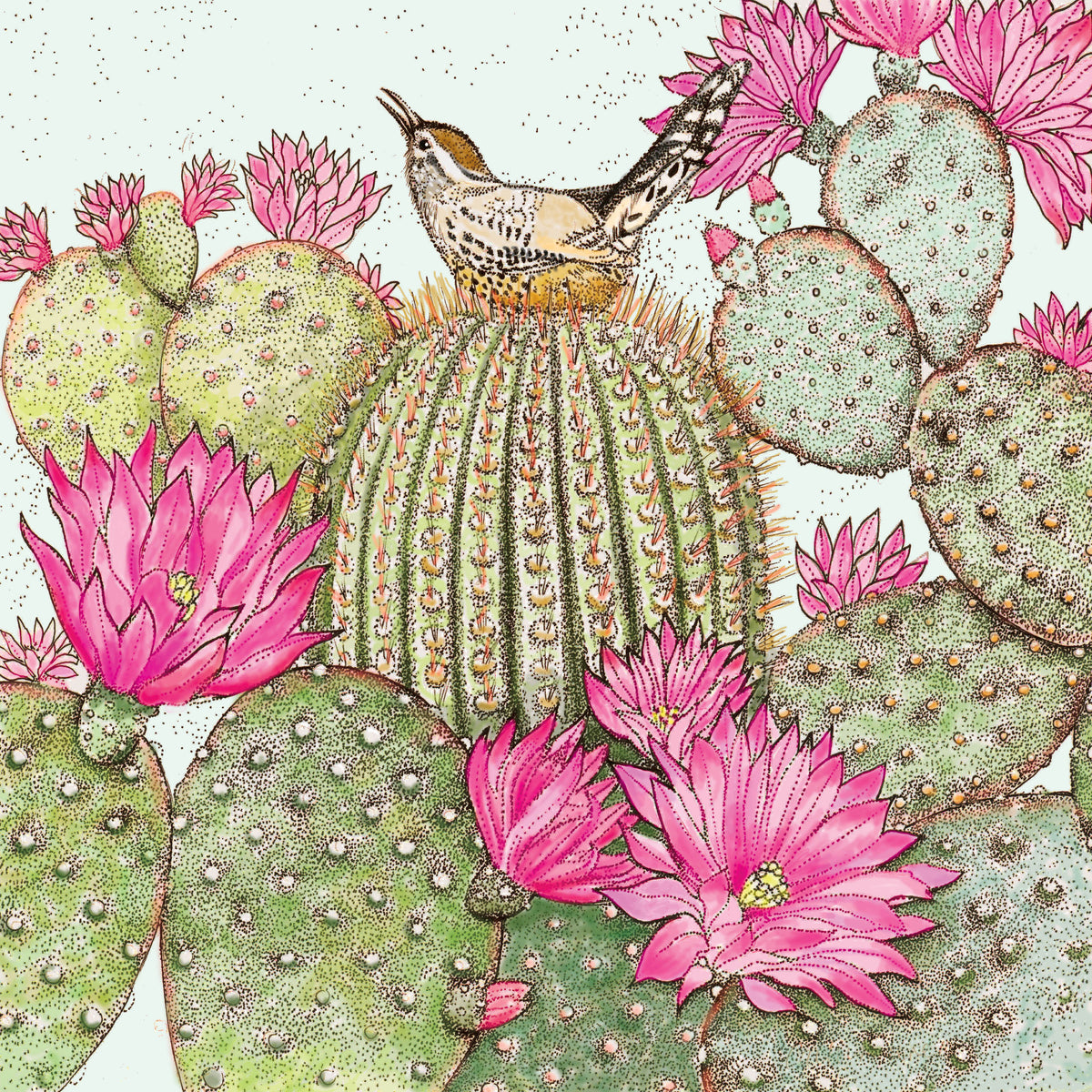 Cactus Wren Hand Drawn Art Bird Blank Greeting Card