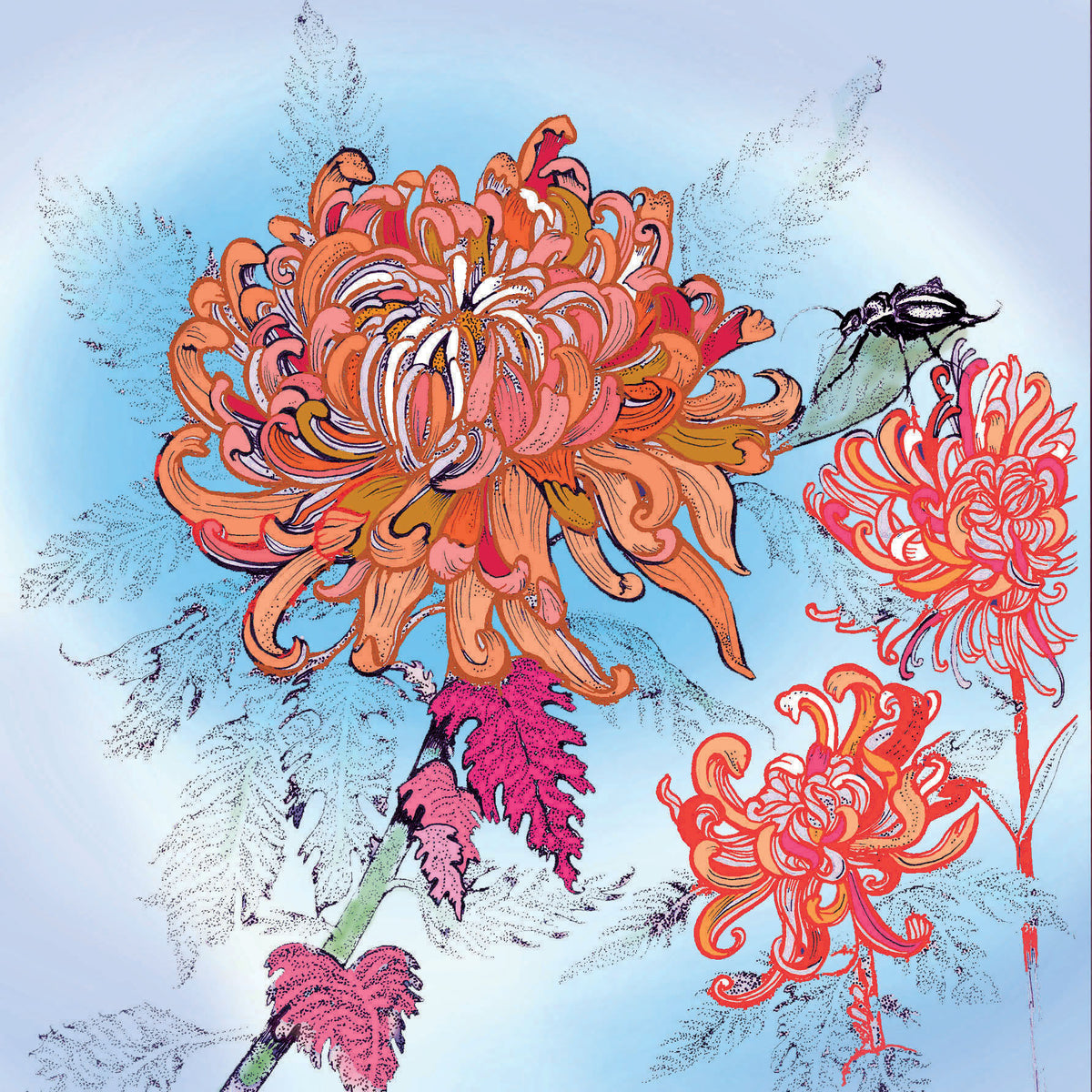 Chrysanthemum Beetle Hand Drawn Blank Floral Greeting Card