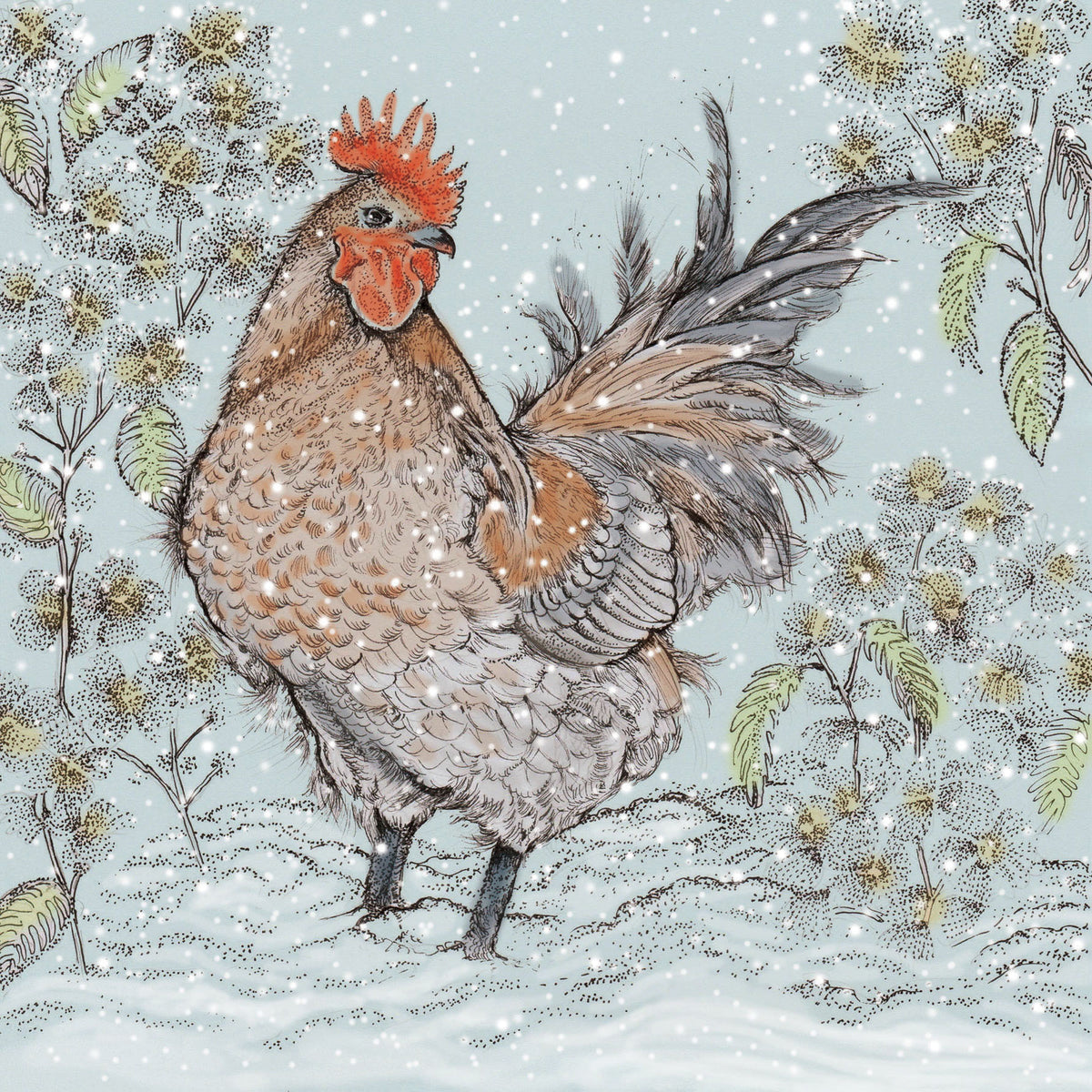 Winter Cockerel Hand Drawn Blank Wildlife Greeting Card