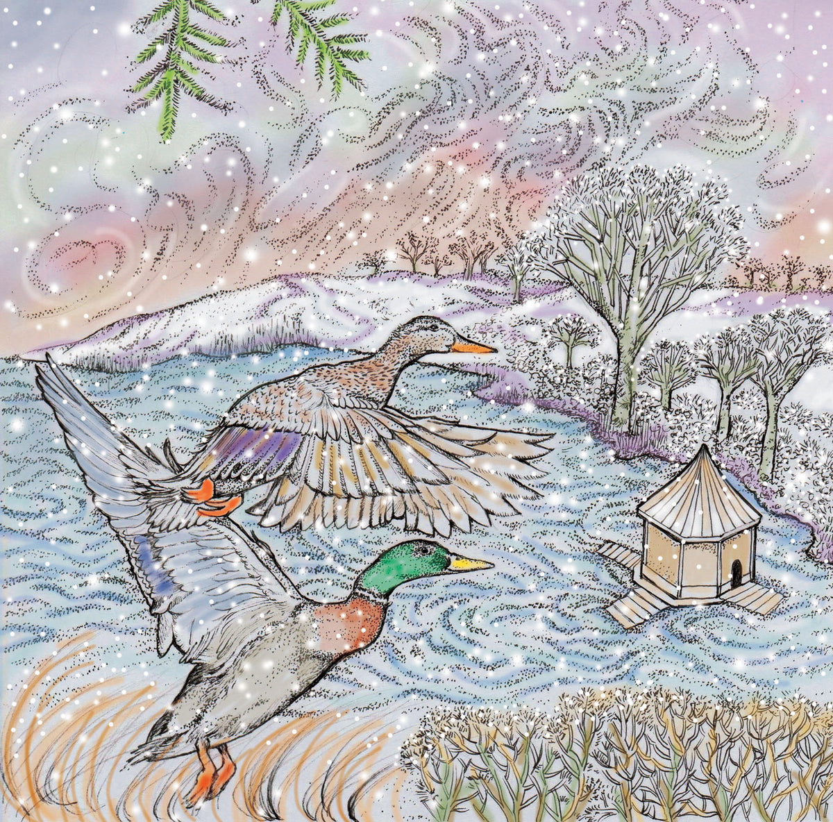 Ducks In Flight Hand Drawn Art Blank Bird Greeting Card