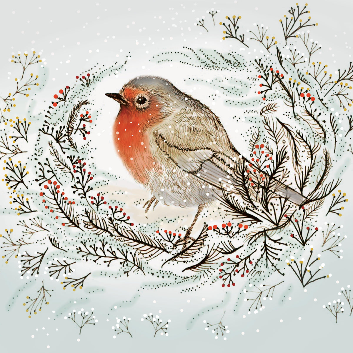Nesting Robin Hand Drawn Art Blank Christmas Greeting Card