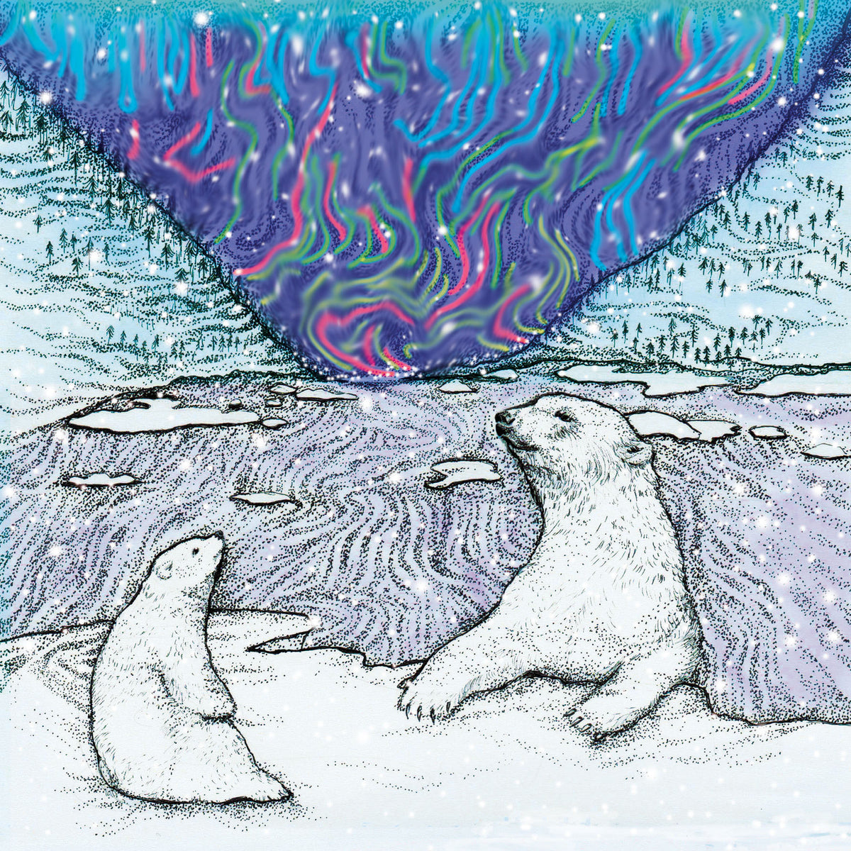 Polar Bears Aurora Borealis Hand Drawn Winter Blank Greeting Card – Fay ...