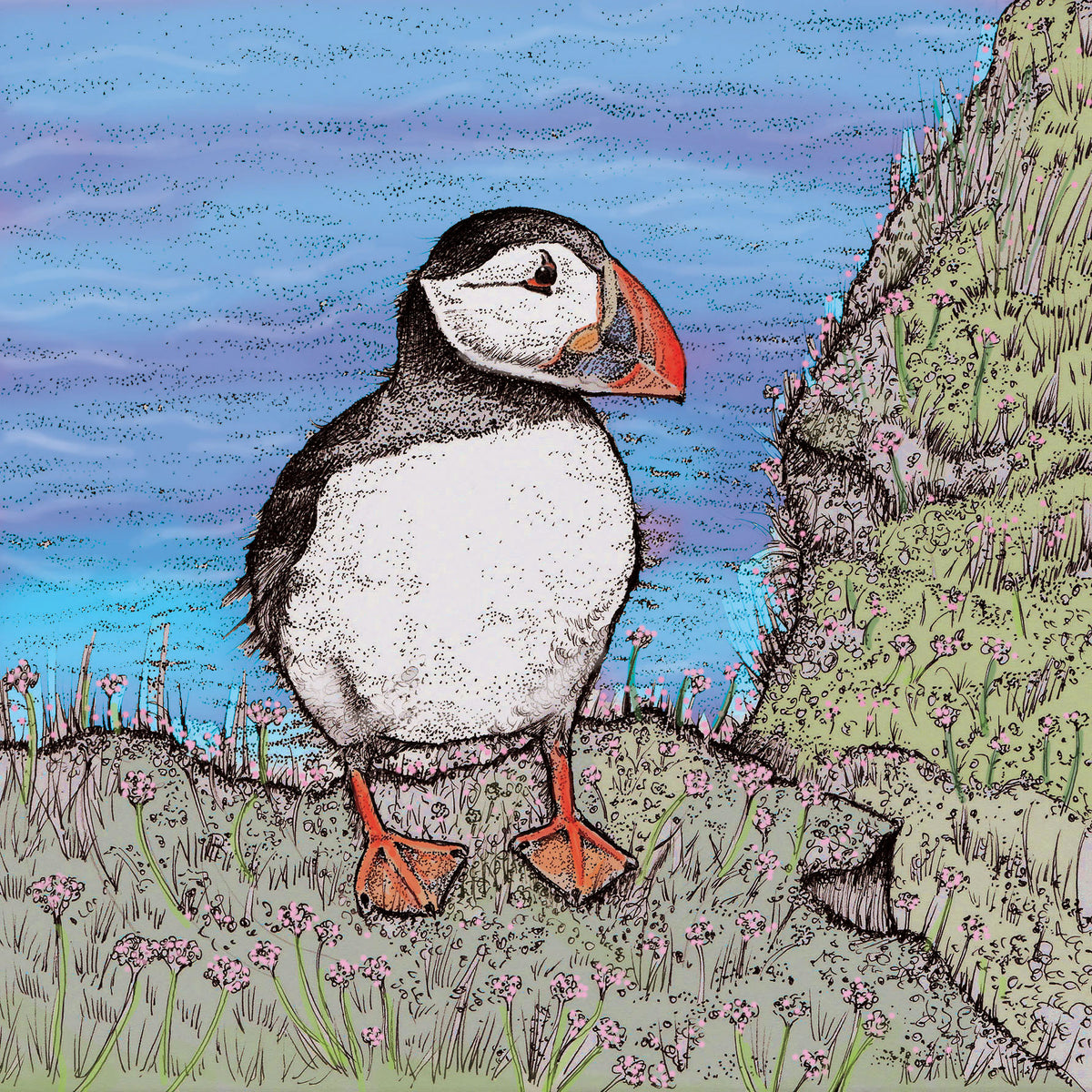 Puffin Hand Drawn Art Blank Bird Greeting Card