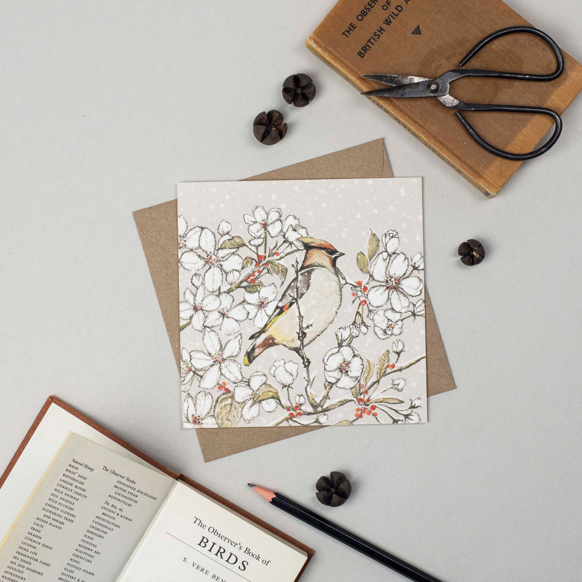 Waxwing Hand Drawn Bird Winter Christmas Blank Greeting Card