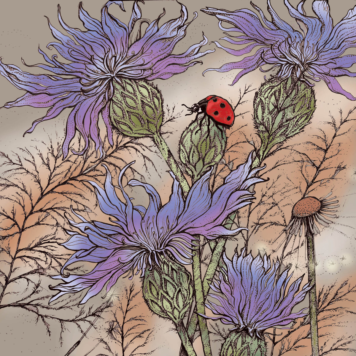 Ladybird Cornflowers Hand Drawn Art Blank Greeting Card