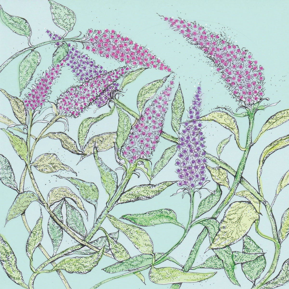 Buddleia Hand Drawn Art Floral Blank Greeting Card
