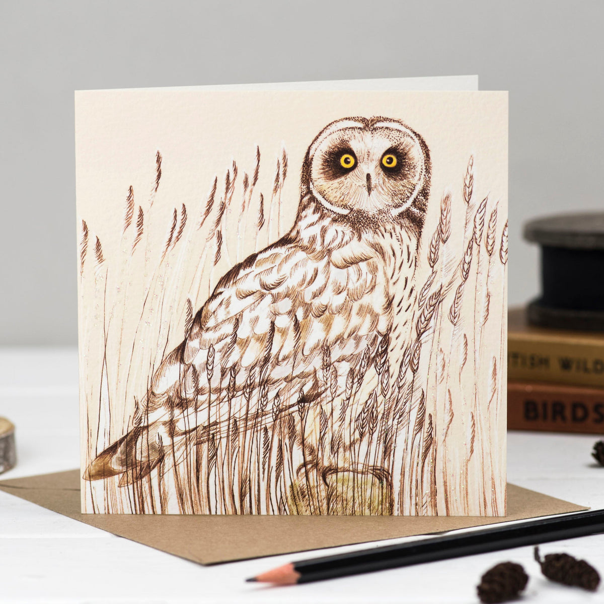 Short Eared Owl Hand Drawn Bird Blank Greeting Card