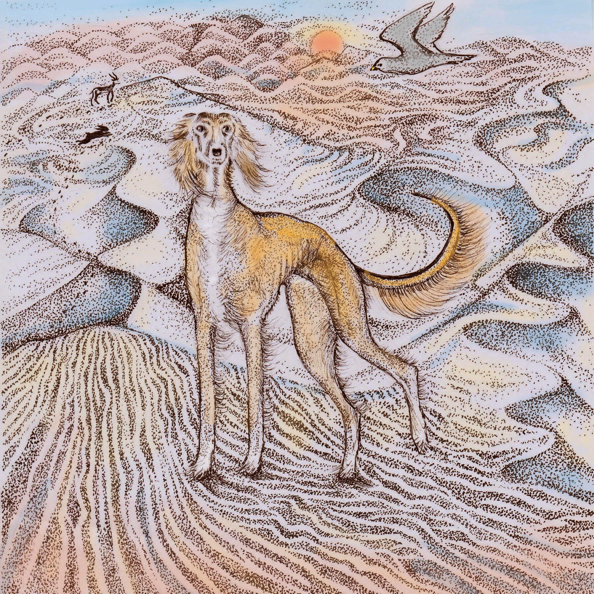 Saluki Dog Desert Hand Drawn Art Blank Greeting Card